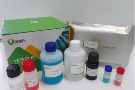 猪流行性腹泻病毒ELISA（IgA）抗体检测试剂盒（间接法）