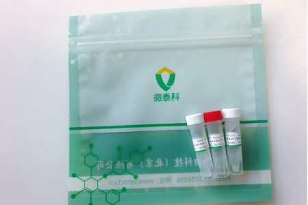 猪流行性腹泻病毒荧光 RT-PCR 检测试剂盒
