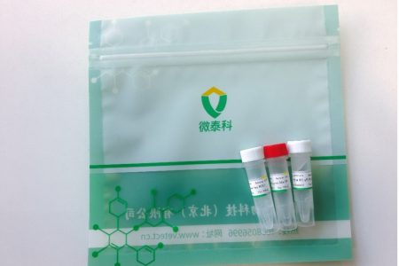 非洲猪瘟病毒荧光 PCR 检测试剂盒